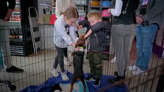 Cool Things to Do Jan. 17-19